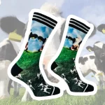 Sokken Cow